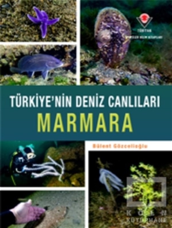 Bülent GözcelioğluBaşvuru KitaplarıMarmara - Türkiye'nin Deniz Canlıları