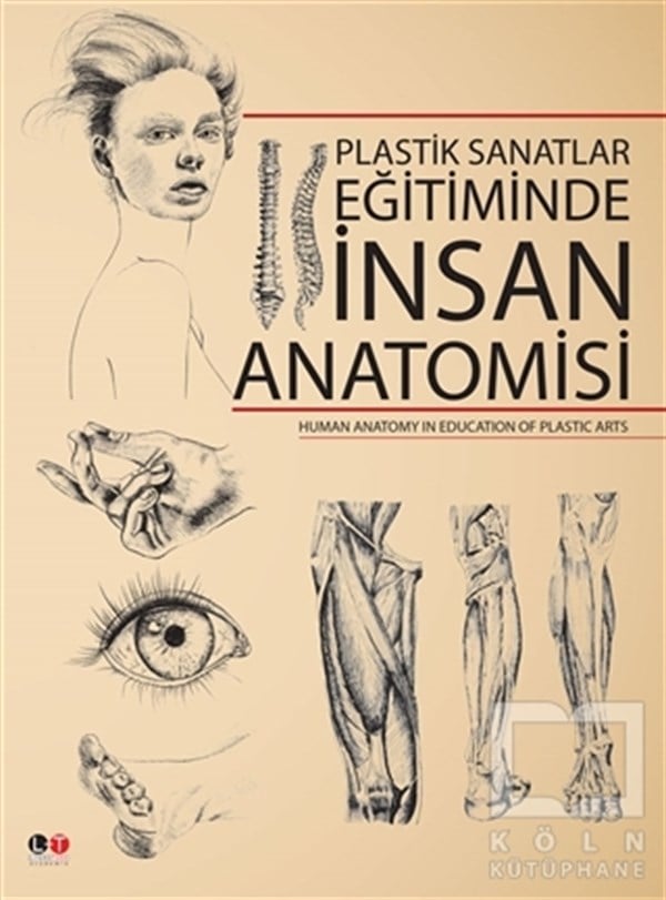 Plastik Sanatlar Egitiminde İnsan Anatomisi