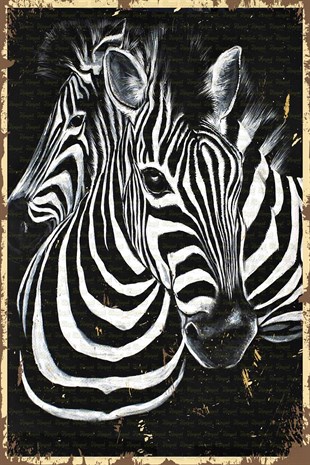 Zebra Görselli Retro Ahşap Poster