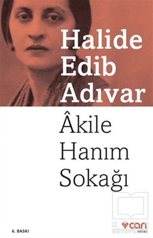 Halide Edib AdıvarTürk Edebiyatı KitaplarıAkile Hanım Sokağı