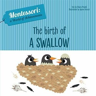 Chiara PiroddiChildren InterestBirth of a Swallow - Montessori: A World of Achievements