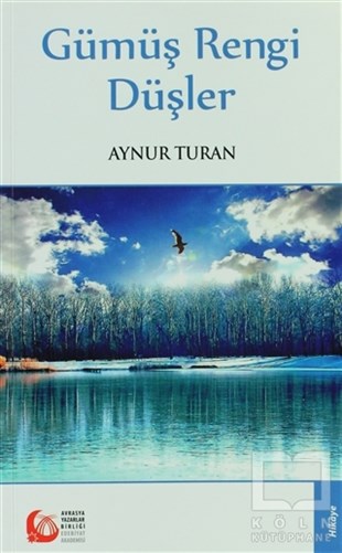 Aynur TuranHikaye (Öykü) KitaplarıGümüş Rengi Düşler