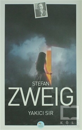 Stefan ZweigÖyküYakıcı Sır